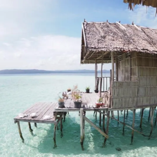 ดำน้ำ Red Sea อียิปต์! น้ำใสเหมือนกระจก โลมาแหวกว่าย!