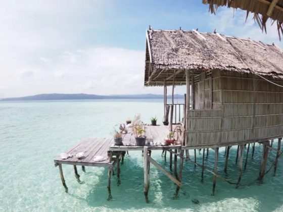 [ทริปดำน้ำราชาอัมพัต] 19 วัน 130,000 บาท ครบทั้ง Homestay & Liveaboard