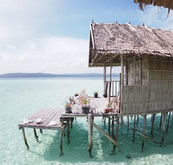 [ทริปดำน้ำราชาอัมพัต] 19 วัน 130,000 บาท ครบทั้ง Homestay & Liveaboard