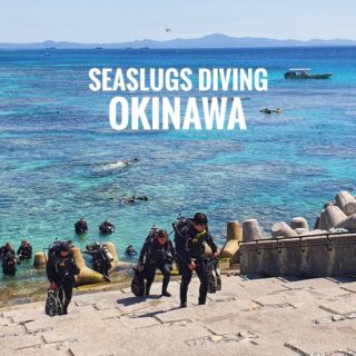 Maldives มาดูอะไร ถ้าไม่ใช่ฉลาม และฝูงแมนต้าาา